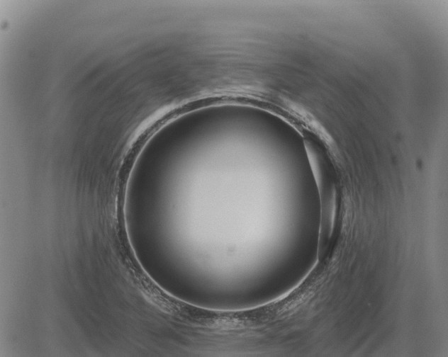 X0000084601316200703021615