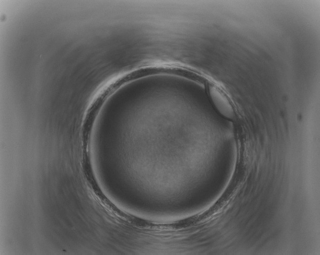 X0000084601319200703021615