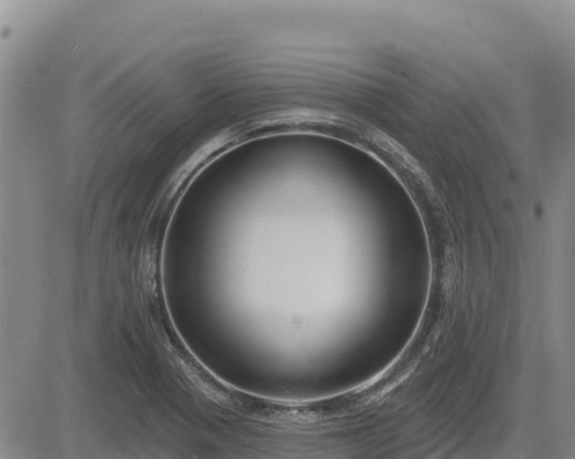 X0000084601321200703021615