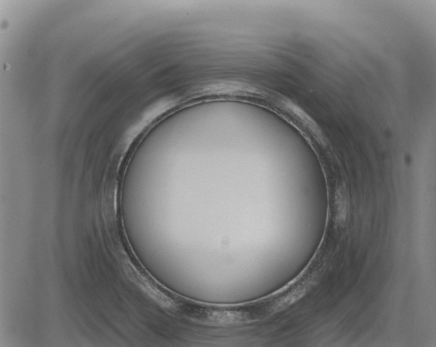 X0000084601322200703021615