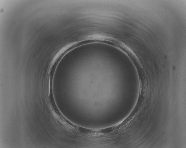 X0000084601323200703021615