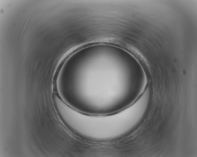 X0000084601324200703021615