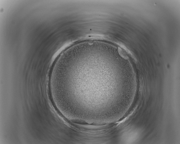 X0000084601325200703021615