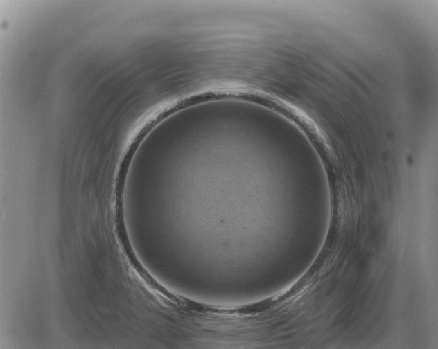 X0000084601327200703021615