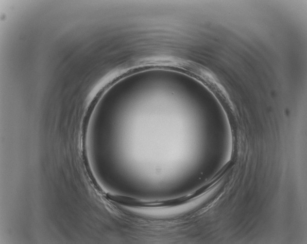 X0000084601328200703021615