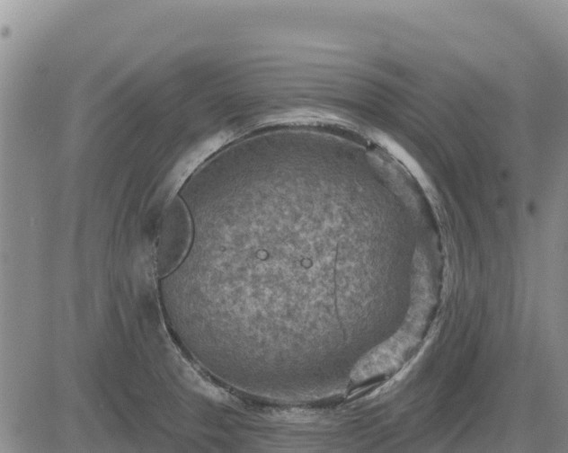 X0000084601329200703021615