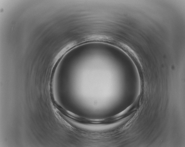 X0000084601330200703021615