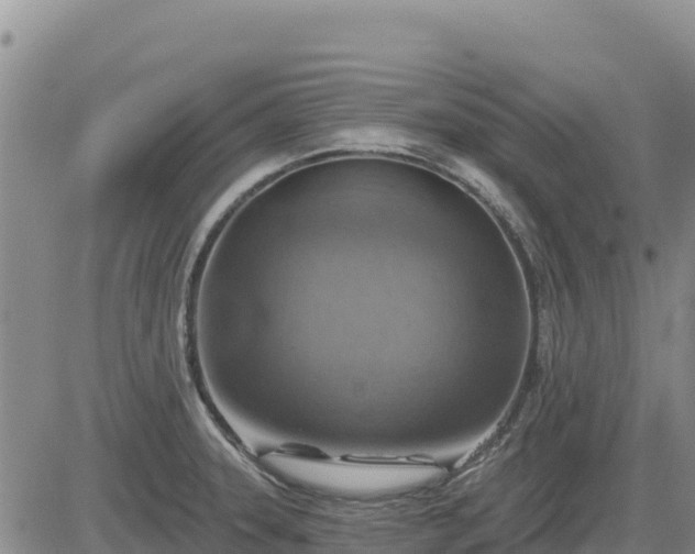 X0000084601331200703021615