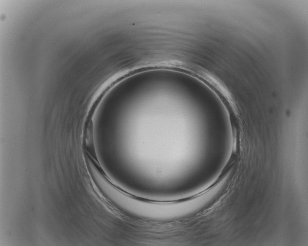 X0000084601332200703021615