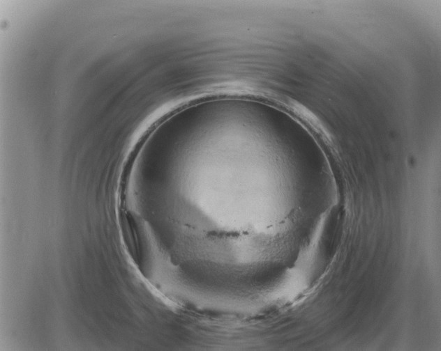 X0000084601334200703021615