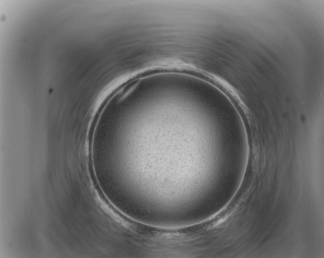 X0000084601335200703021615