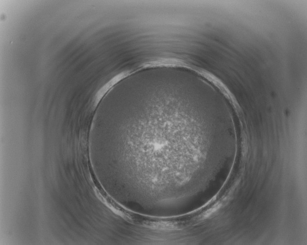 X0000084601337200703021615