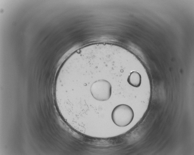 X0000084601338200703021615