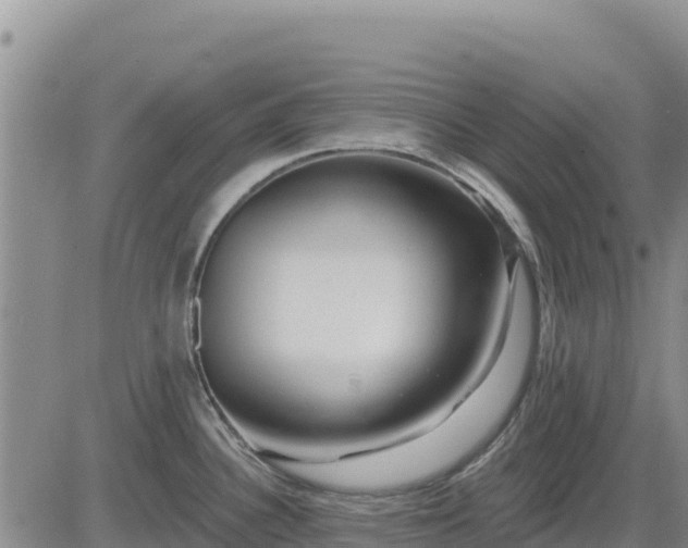 X0000084601340200703021615