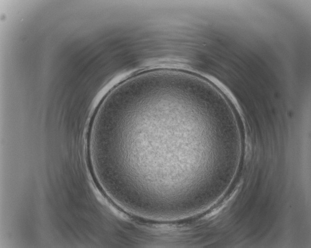 X0000084601341200703021615