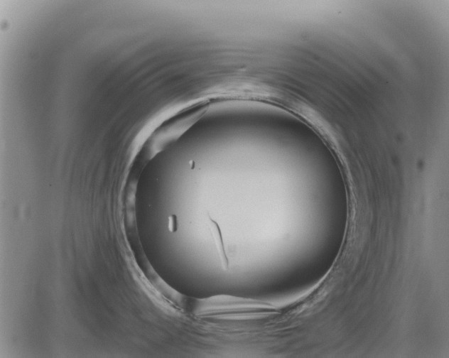 X0000084601344200703021615