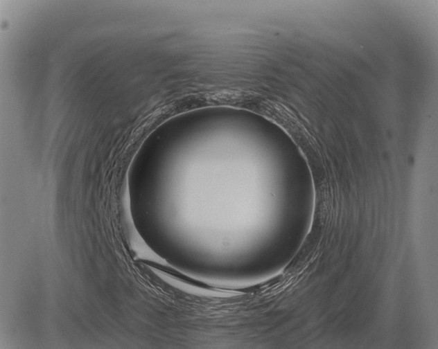 X0000084601345200703021614