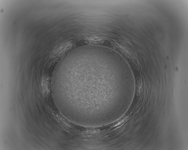 X0000084601346200703021614