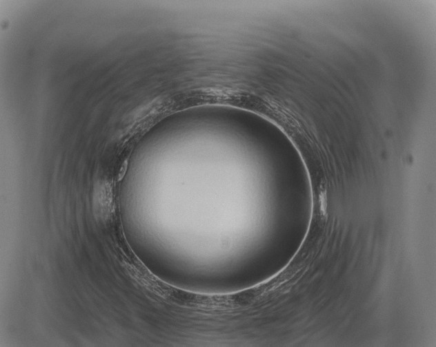 X0000084601347200703021614