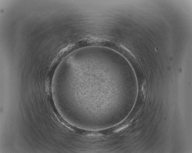 X0000084601348200703021614