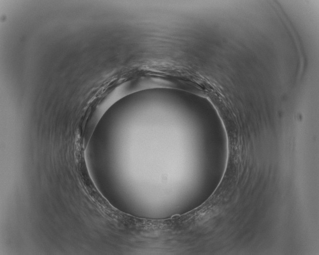 X0000084601349200703021614