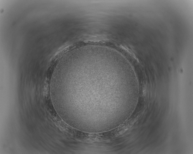 X0000084601350200703021614