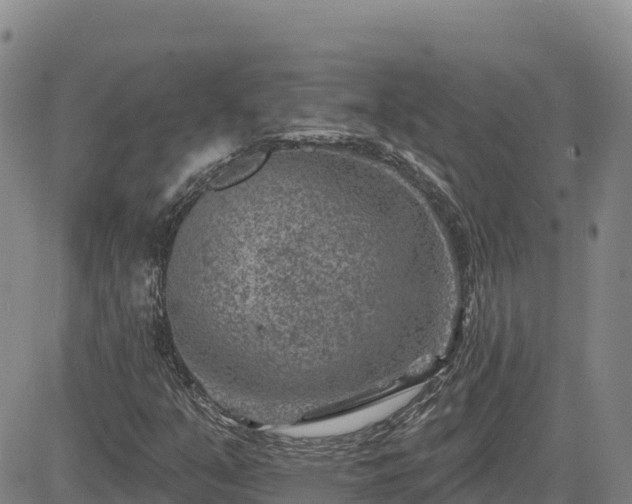 X0000084601351200703021614