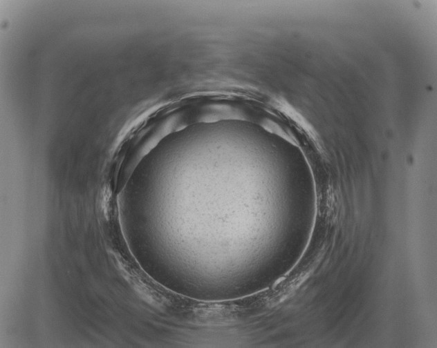 X0000084601352200703021614