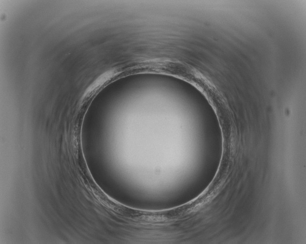 X0000084601354200703021614