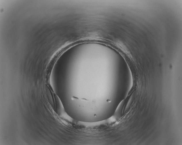 X0000084601356200703021614