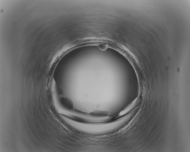 X0000084601357200703021614