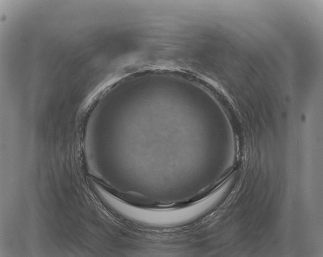 X0000084601359200703021614