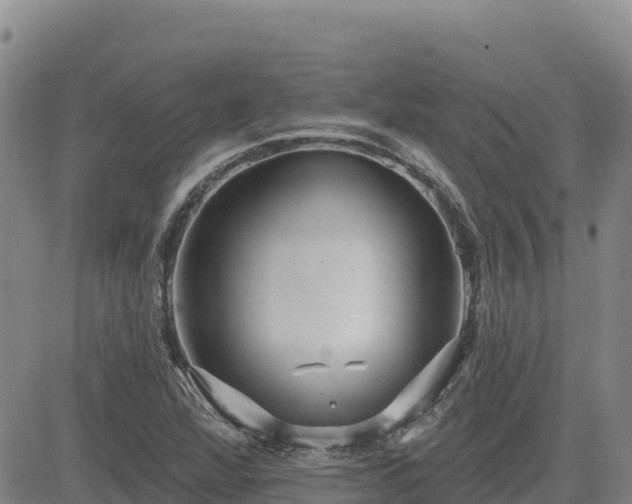 X0000084601360200703021614