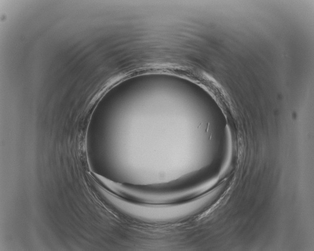 X0000084601361200703021614