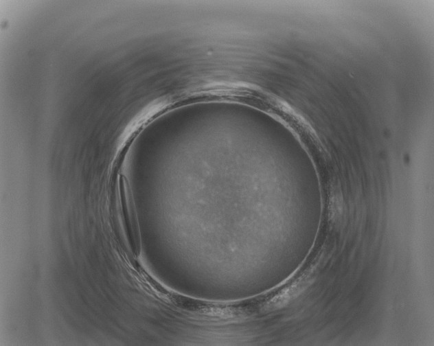 X0000084601362200703021614