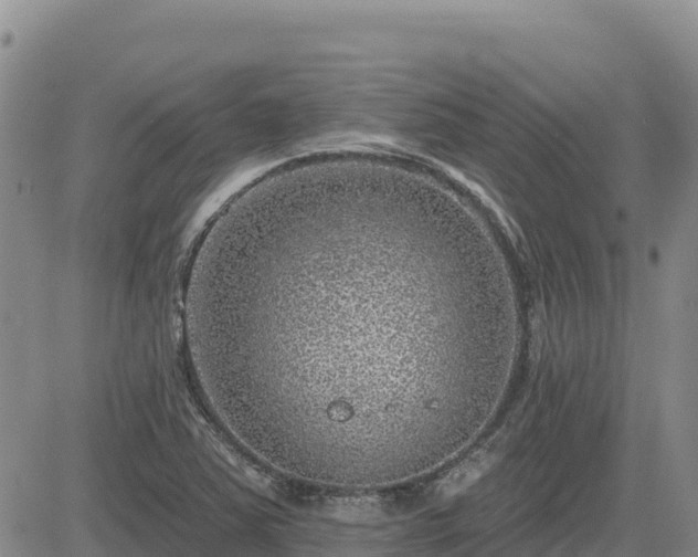 X0000084601363200703021614