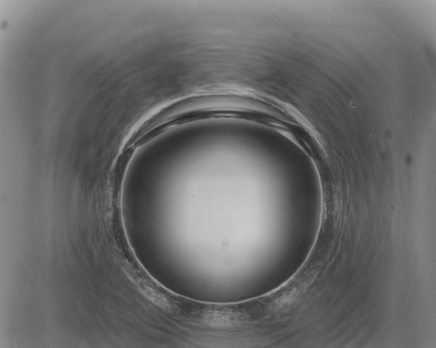 X0000084601364200703021614