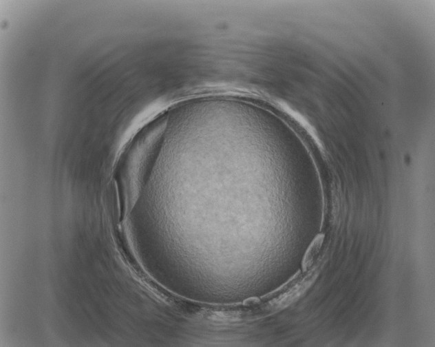 X0000084601365200703021614