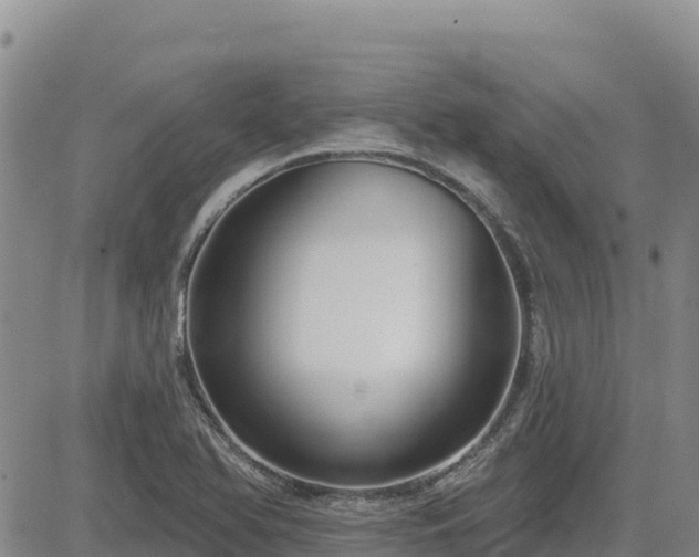 X0000084601366200703021614