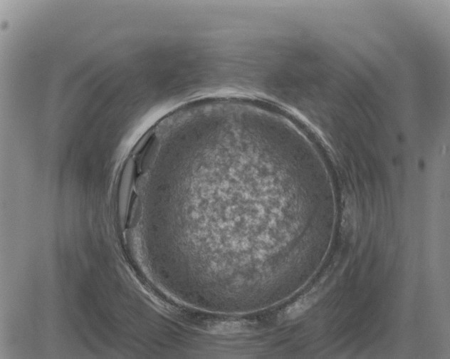 X0000084601367200703021614