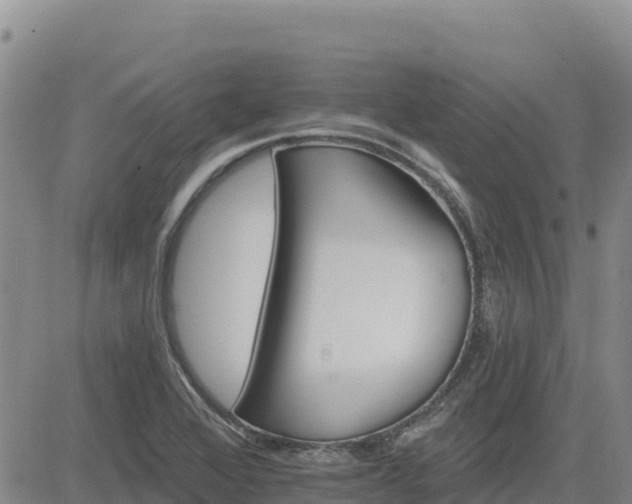 X0000084601368200703021614