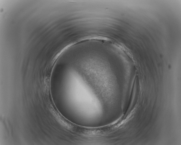 X0000084601369200703021614