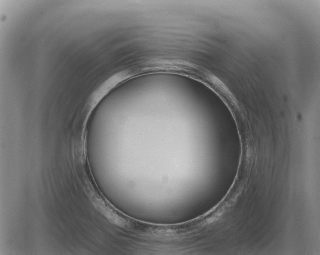 X0000084601370200703021614