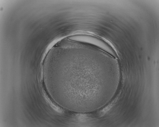 X0000084601371200703021614