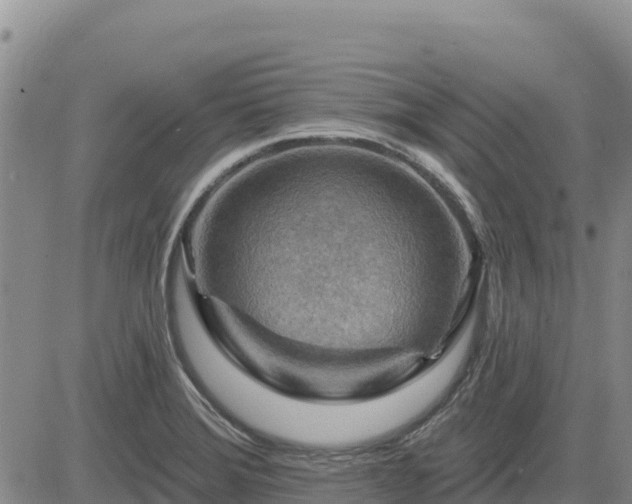 X0000084601372200703021614