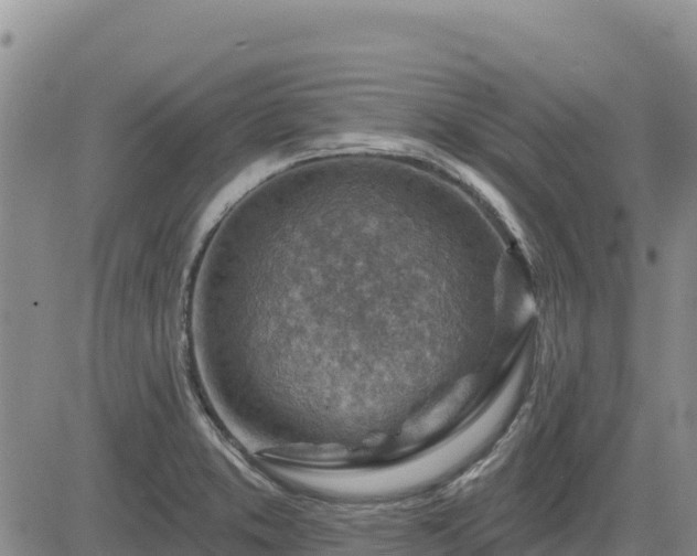 X0000084601373200703021614