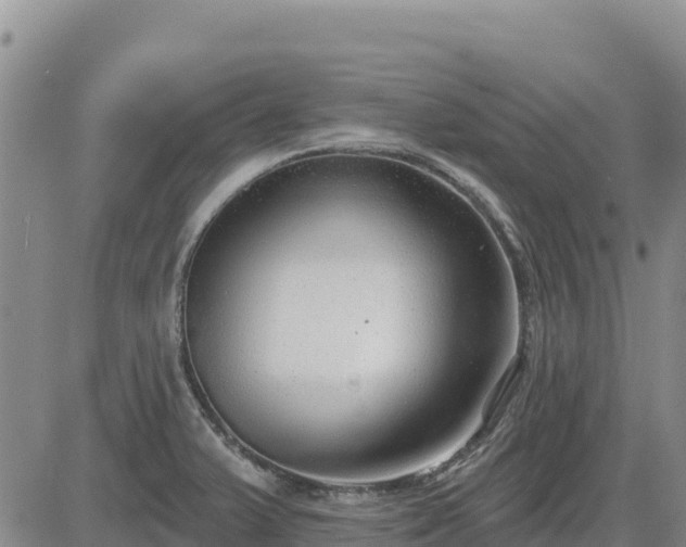 X0000084601375200703021614