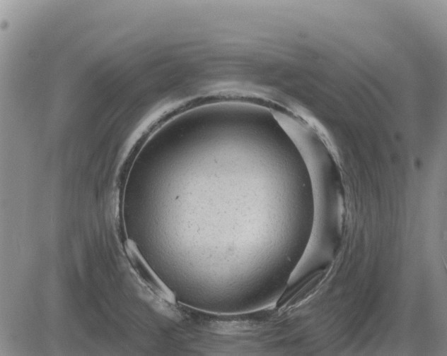 X0000084601376200703021614