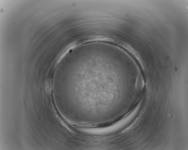 X0000084601377200703021614