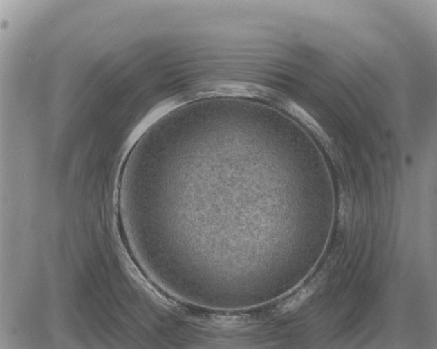 X0000084601378200703021614